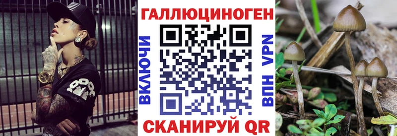 Псилоцибиновые грибы мухоморы  даркнет клад  Шумерля 